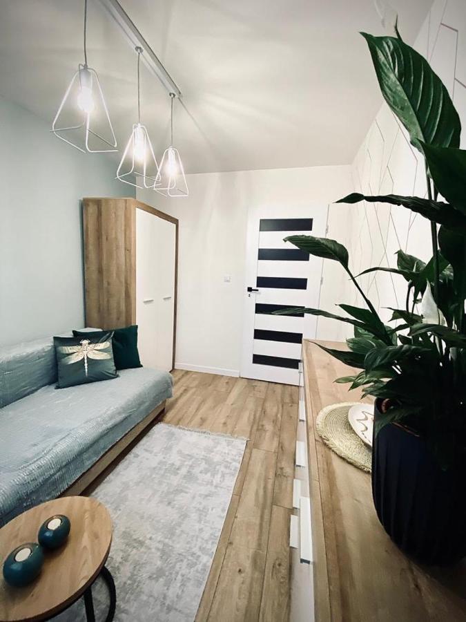 Apartament Krola 桑多梅日 外观 照片