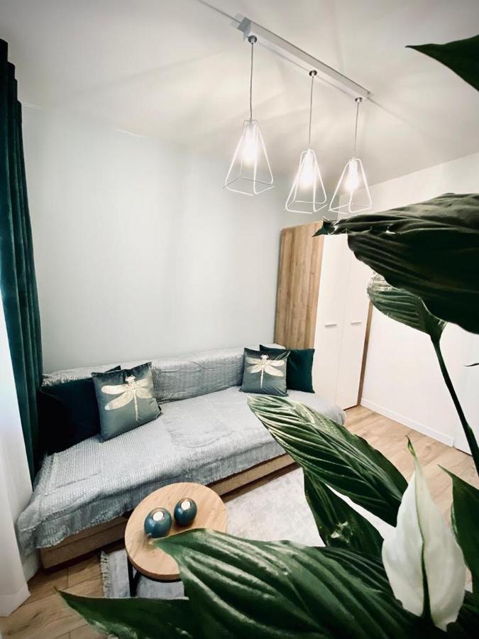 Apartament Krola 桑多梅日 外观 照片