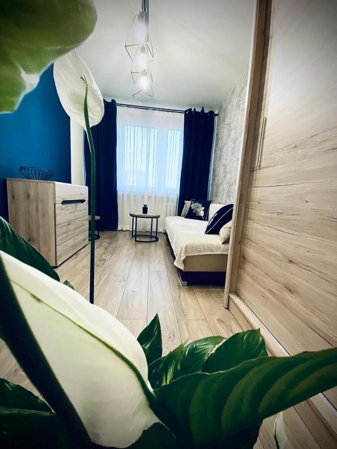 Apartament Krola 桑多梅日 外观 照片